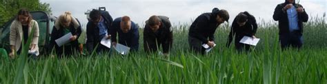 hermes akademie master agrarmanagement|Agrarmanagement im Master: Das Studium an der Hochschule .